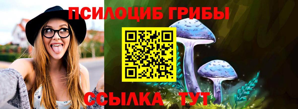 Бийск  Псилоцибиновые грибы Psilocybine cubensis  Вход с VPN 